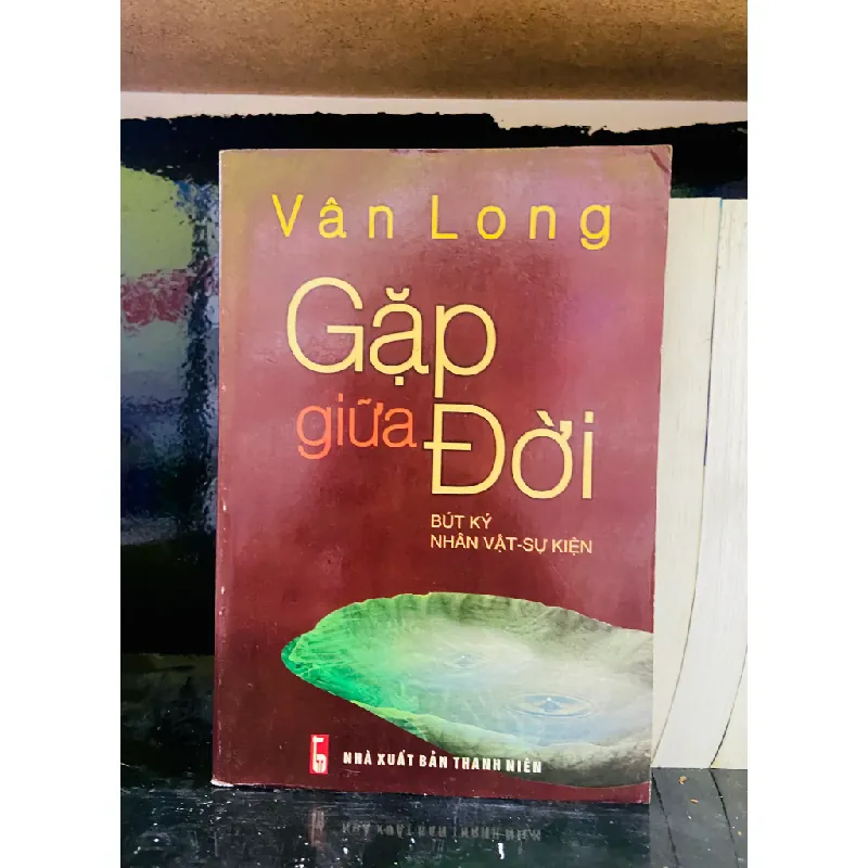 Gặp giữa đời - Vân Long 554549