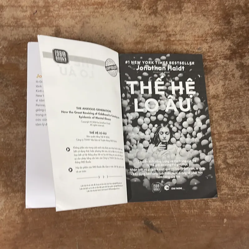 THẾ HỆ LO ÂU- JONATHAN HAIDT 675079