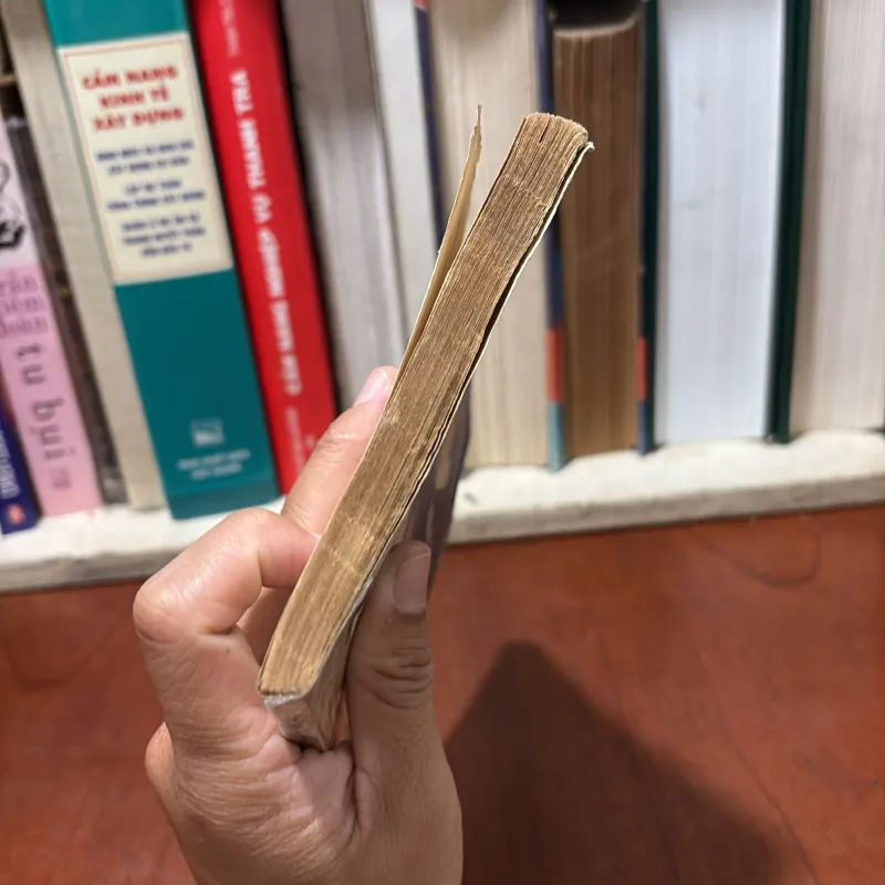 II Văn Học: Người Cười - VICTO HUYGO - 1988 751109