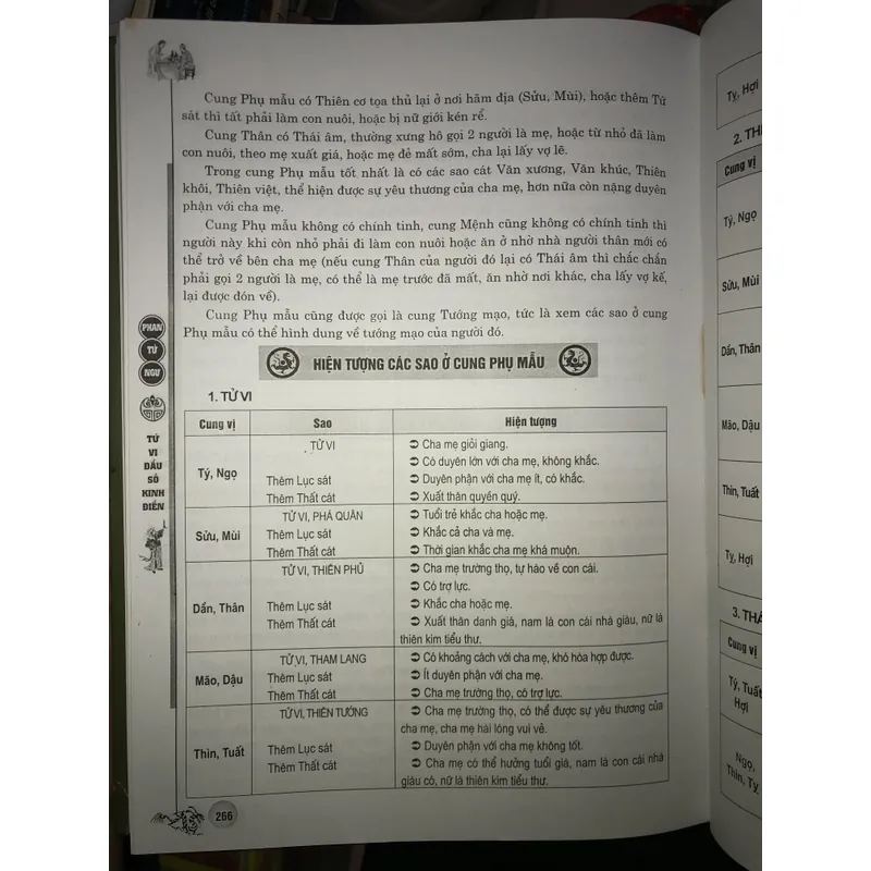 Tử vi đẩu số kinh điển - Phan Tử Ngư 703530