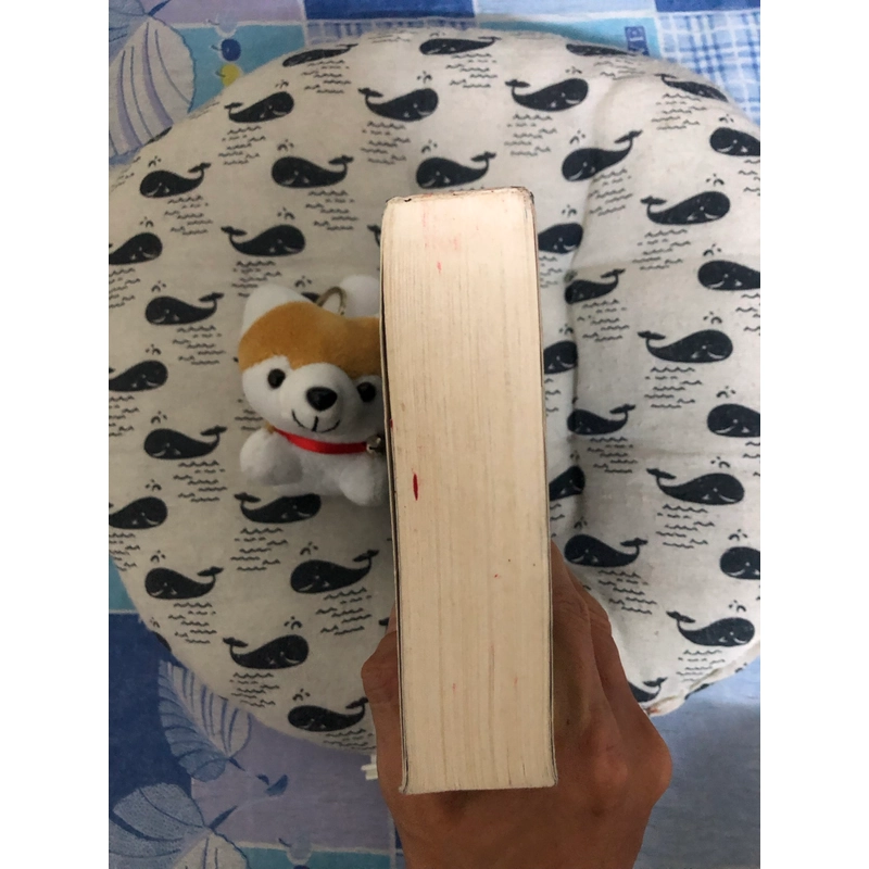 Ma Thổi Đèn - Trùng Cốc Vân Nam 552846