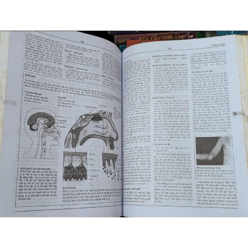 Từ điển bách khoa y học Anh Việt - GS. Ngô Gia Hy 470116