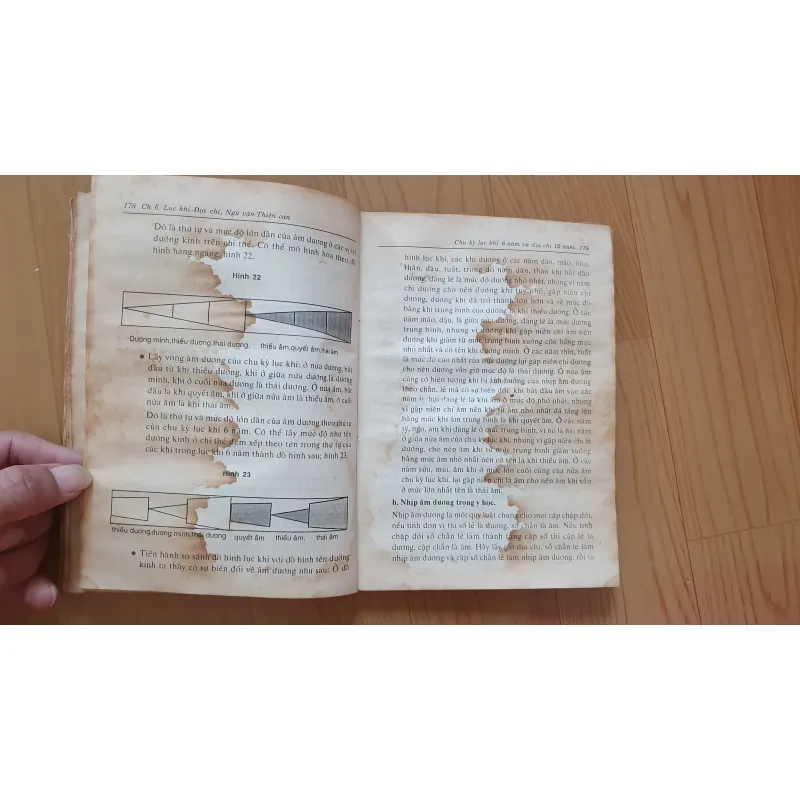 THỜI SINH HỌC CỔ PHƯƠNG ĐÔNG  759579