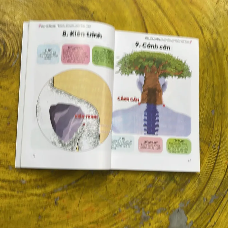 MẸO NHỚ HUYỆT- (8)-thạc sĩ Nguyễn thị Hải duy  605152