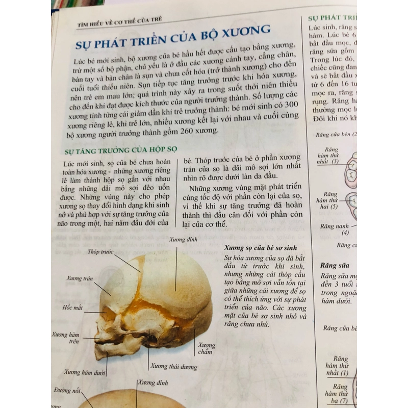 📘 TOÀN TẬP TRIỆU CHỨNG & ĐIỀU TRỊ BỆNH TRẺ EM – Dr. Bernard Valman 503110