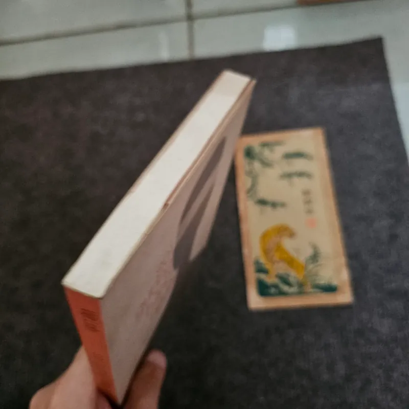 Soi gương bằng người - Việt Linh 736888