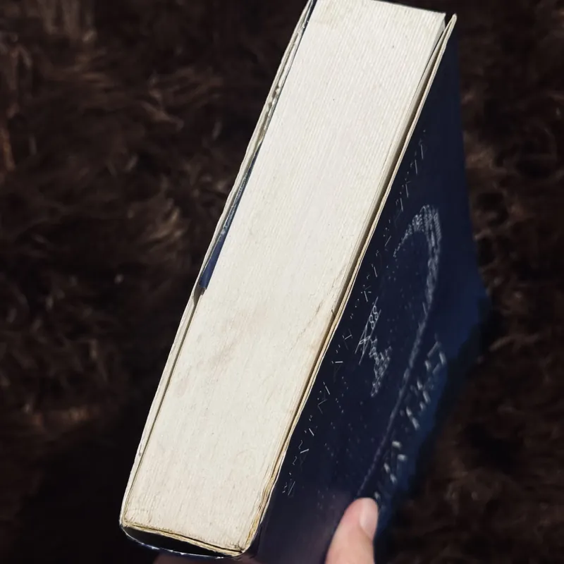 Những đứa con của nửa đêm 720007