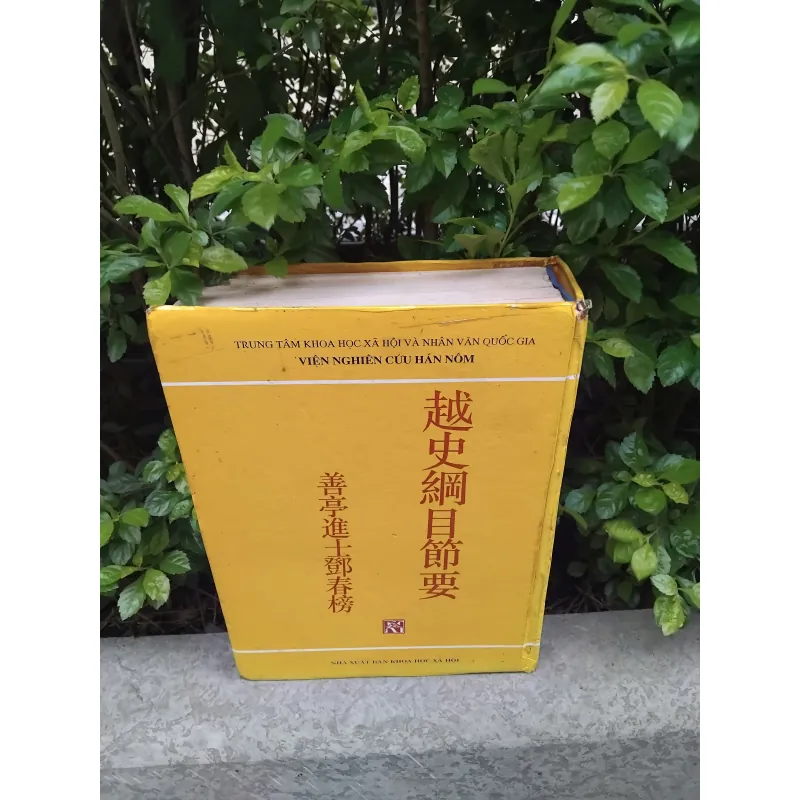 Việt sử cương mục tiết yếu của Đặng Xuân Bảng  1001930