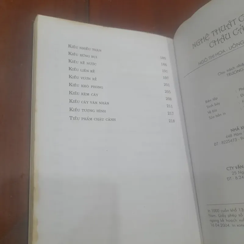 Nghệ thuật CHẾ TÁC CHẬU CẢNH 715538