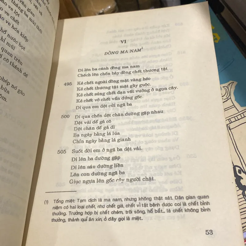 PỤT TÀY - CHANT CULTUEL DE L'ETHNIE TÀY DU VIỆT NAM, song ngữ Việt - Pháp (XB 1992) 760239