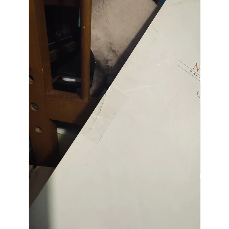 Văn học Nước Ngoài Số 8-2012 605262