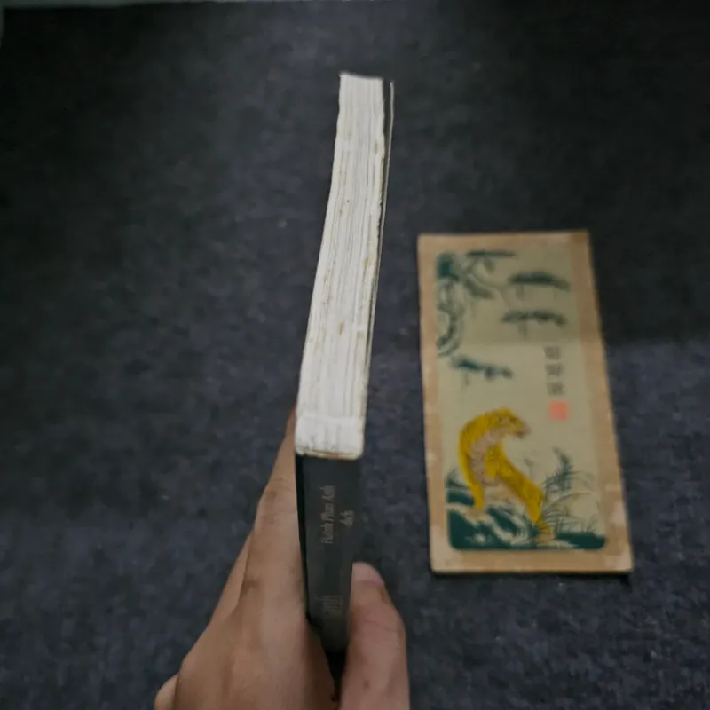 Đôi chim xanh 736633