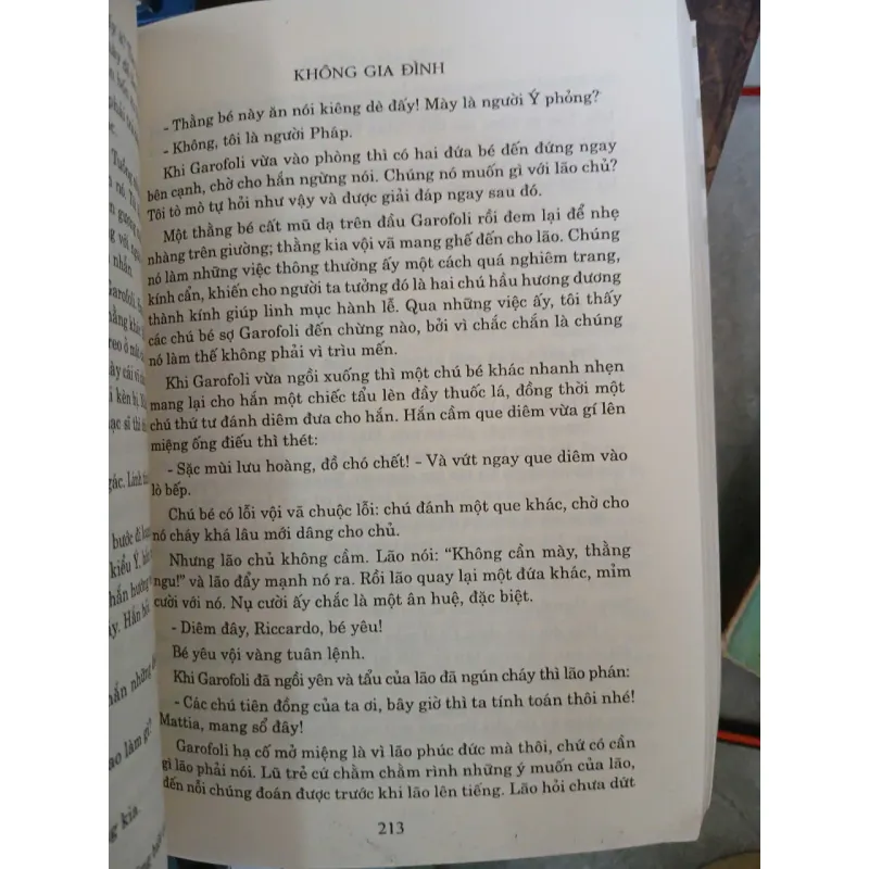 KHÔNG GIA ĐÌNH - HECTOR MALOT (HUỲNH LÝ DỊCH) 1038399