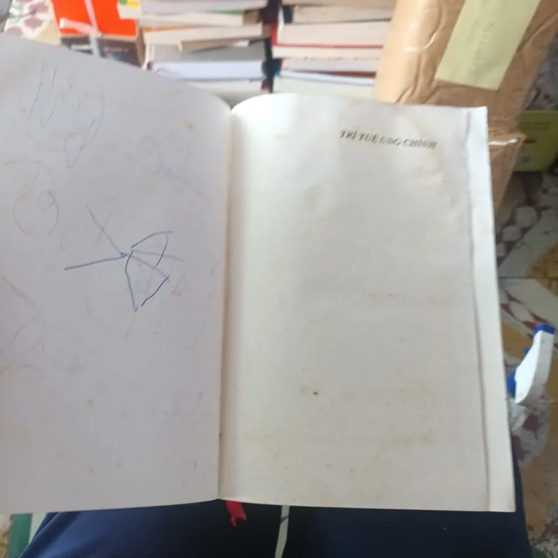 Trí Tuệ Ung Chính - Phùng Nhĩ Khang 1027867