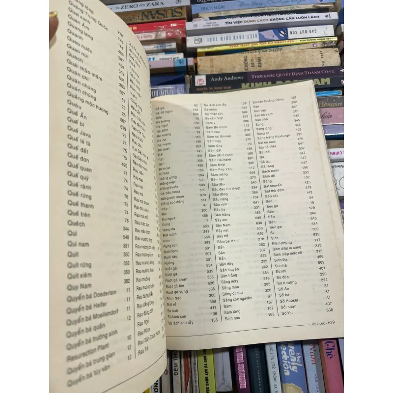 CÂY CÓ VỊ THUỐC Ở VIỆT NAM - PHẠM HOÀNG HỘ  1031526