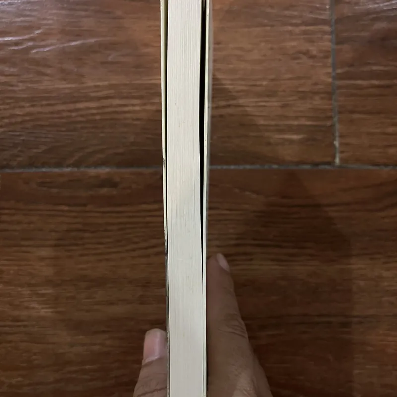 Cô gái trong nắng (8) 591838