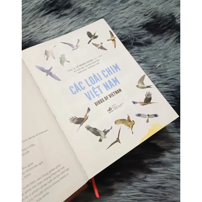 Các loài chim Việt Nam (Lê Mạnh Hùng) 736179