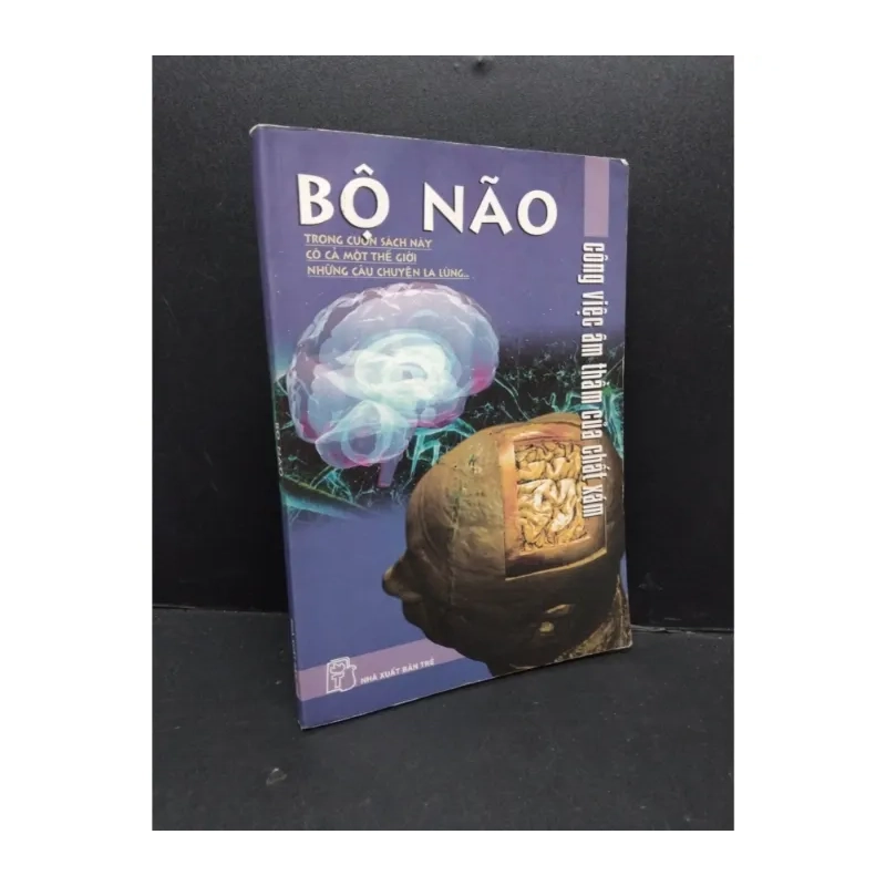Bộ não 979614