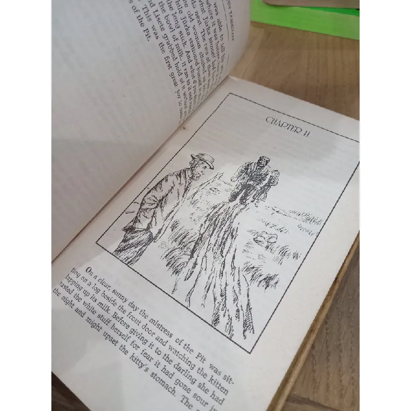 THE MISADVENTURES OF THE NEW SATAN - ANTON TAMMSAARE 191328