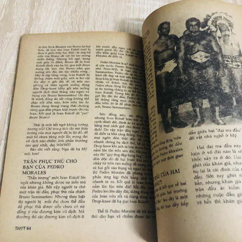 TÌM HIỂU VÕ THUẬT VIỆT VÕ ĐẠO 531169