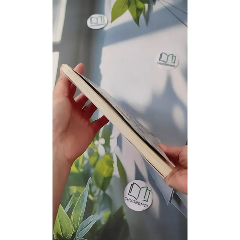 Hàn Quốc - Đi về phía bình minh - Hoa Học Trò 1018813