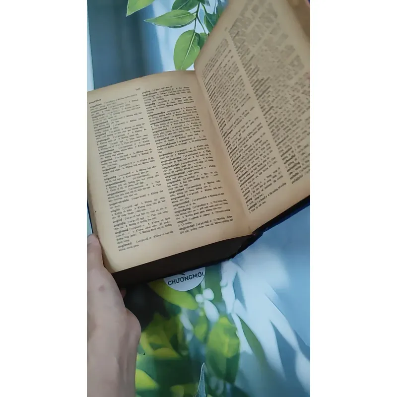 [MIỄN PHÍ BỌC SÁCH] Từ Điển Anh - Việt - Viện Ngôn Ngữ 750747