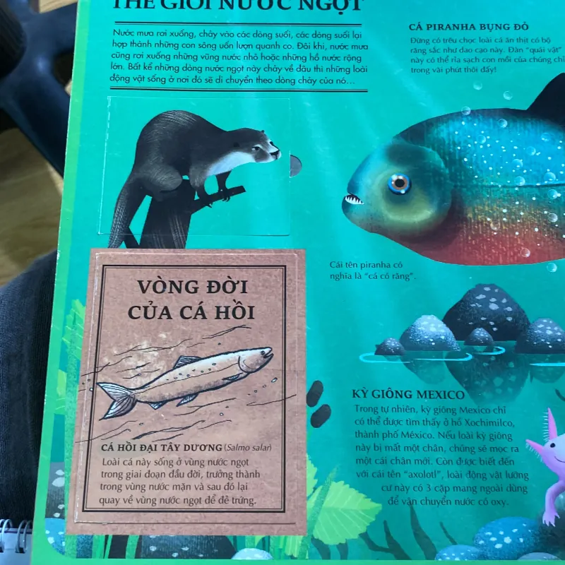 Atlas da tương tác  về động vật hoang dã 766035