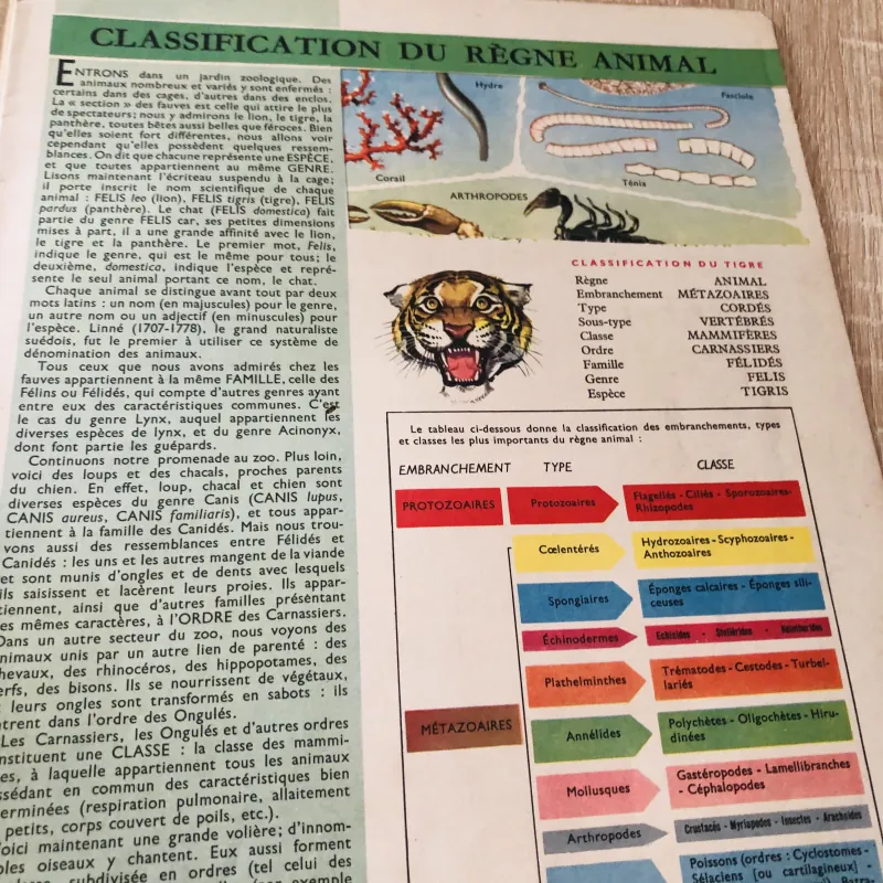 TẠP CHÍ TOUT L’UNIVERS – 1962 (2) 1017498