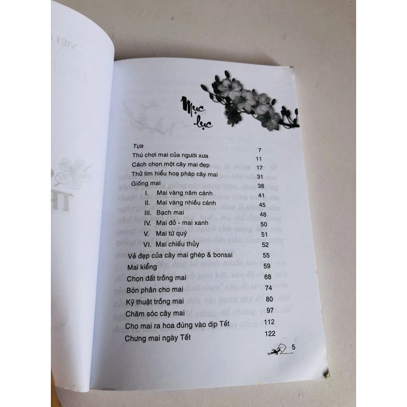 KỸ THUẬT TRỒNG MAI 530538