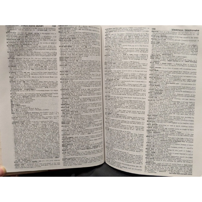 Webster's New World College Dictionary 1008365