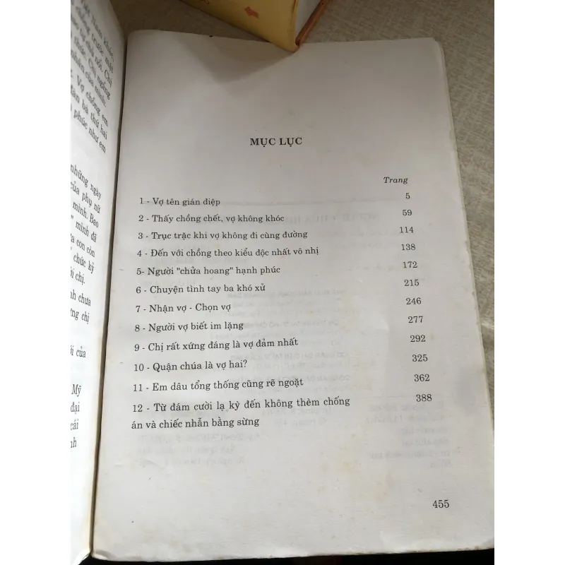 Người chửa hoang hạnh phúc - Nguyễn Trần Thiết  968654