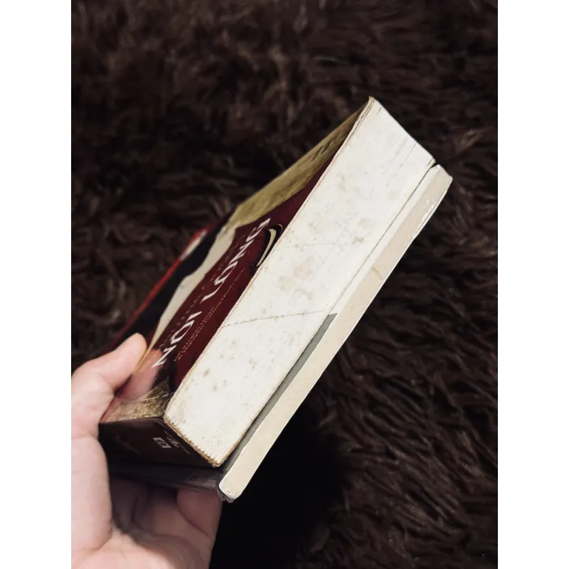 Combo 2c Natsume Soseki 992300