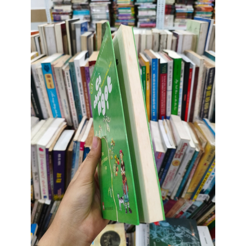 Cà chua ngọt 🌱 475163
