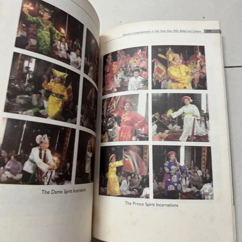 Đạo mẫu Việt Nam 699351