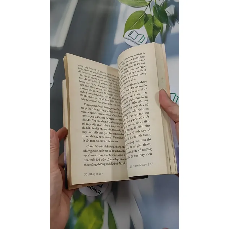 Nắng Muộn - Đậu Bảo 776107