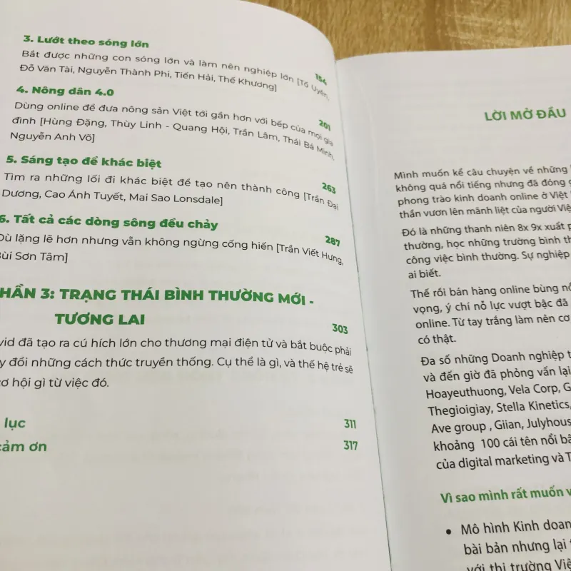 TỪ NÔNG THÔN ĐẾN TRIỆU ĐÔ 1004363