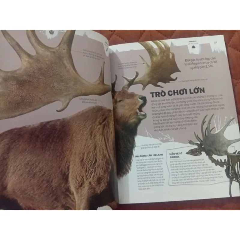 Băng - Những Câu Chuyện Ly Kỳ Từ Một Thế Giới Đang Dần Biến Mất 1009870