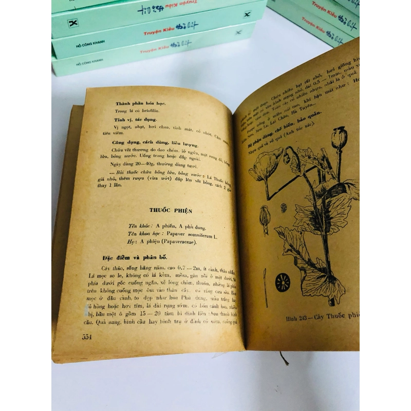 DƯỢC LIỆU VIỆT NAM  ( Bộ y tế) 540903