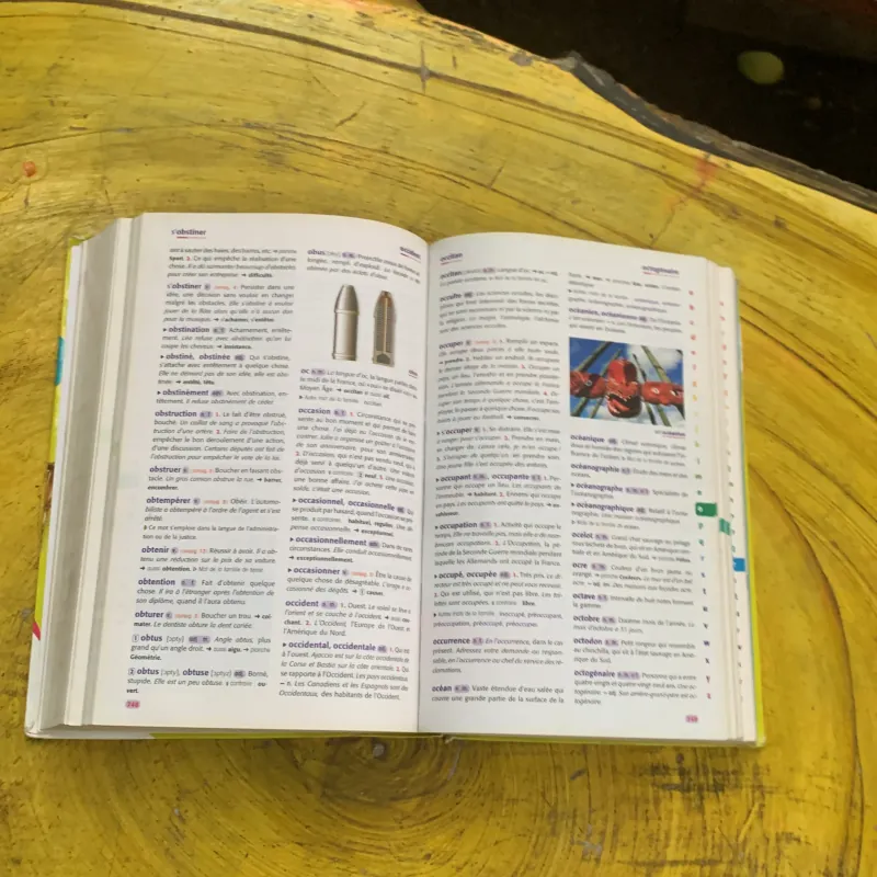 DICTIONNAIRE LE ROBERT  BENJAMIN CP-CE 6.8 ans & JUNIOR 8/11 ans  CE-CM ILLUSSTRE 747358