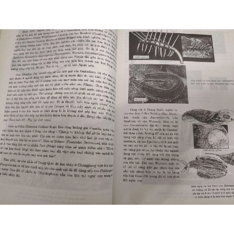 Tìm hiểu Trái Đất thời thiền sử - 2004 - 155 trang (Sách lịch sử - triết học) ANTQ1304 1012637