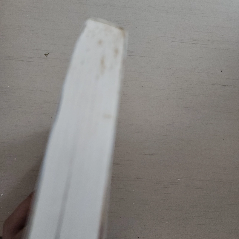 Sách Holy Bible tiếng Anh 542968