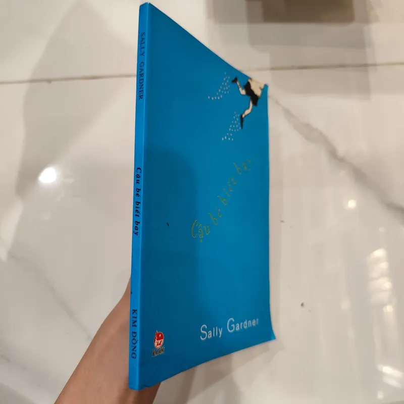 Cậu bé biết bay 607607