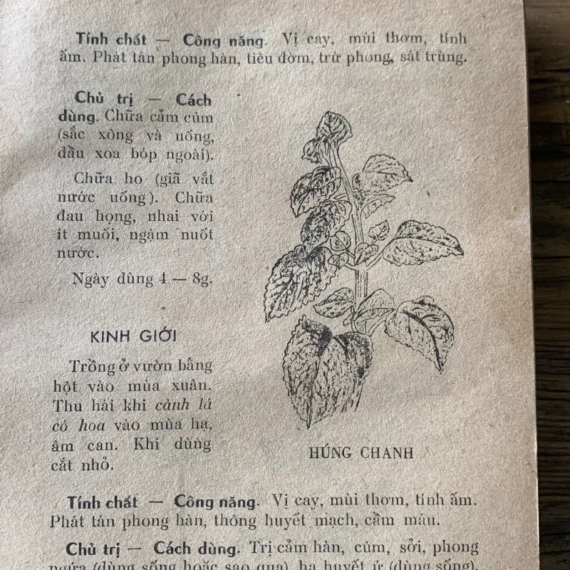 Thuốc nam và châm cứu, Viện Đông Y, in năm 1976 929996