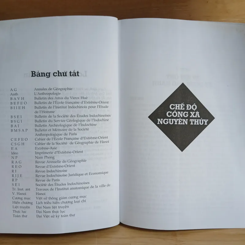 Lịch Sử Việt Nam (Từ Nguồn Gốc Đến Thế Kỷ XIX) - Đào Duy Anh 1030476