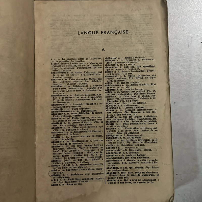 Larousse de poche 503656