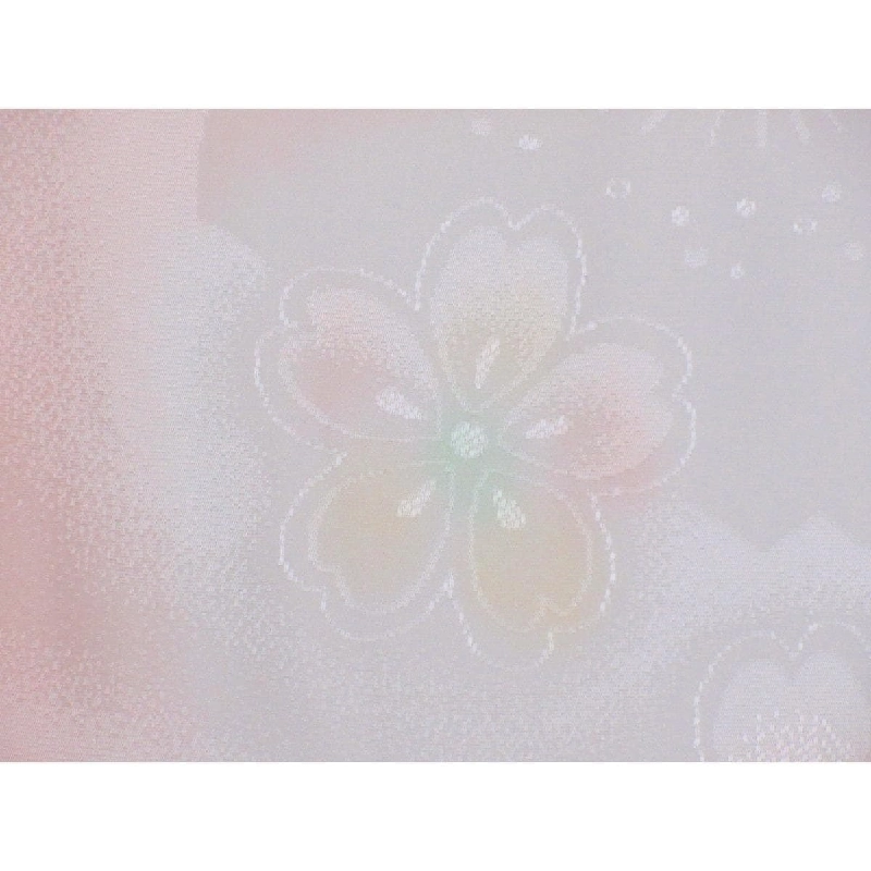 Áo dài truyền thống - Hàng hiệu Authentic 878548