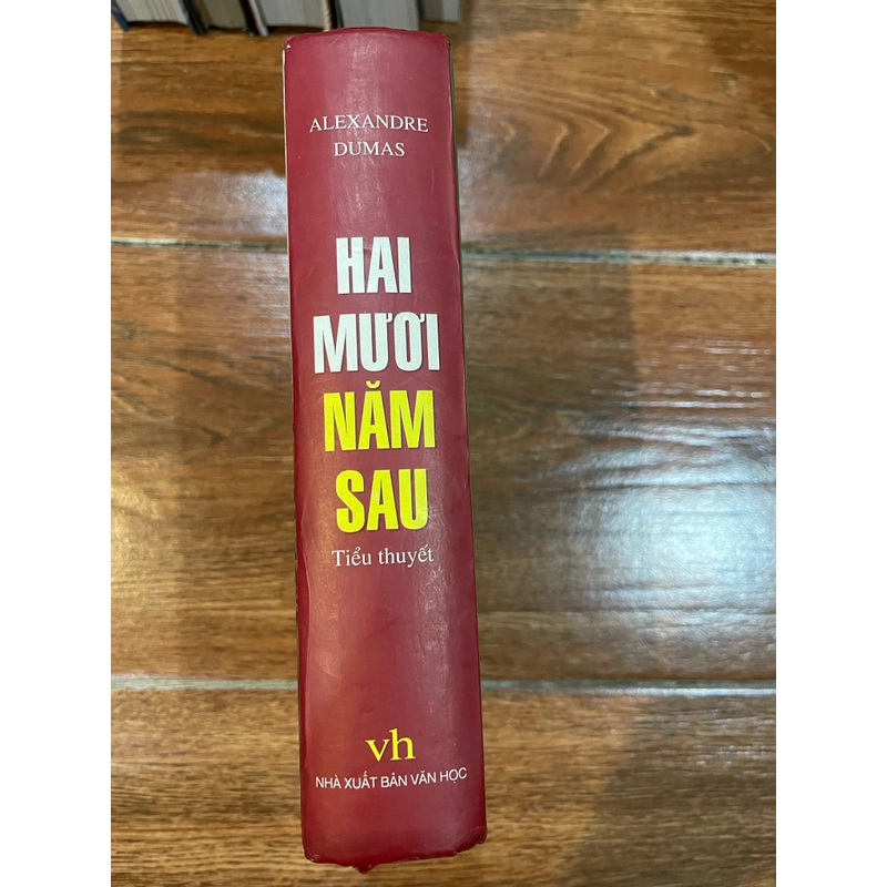 Hai mươi năm sau (9) 319265