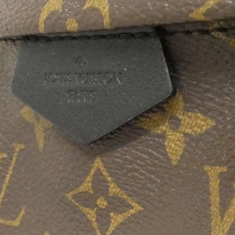 Ba lô Louis Vuitton Monogram Palm Springs PM M44871 608287