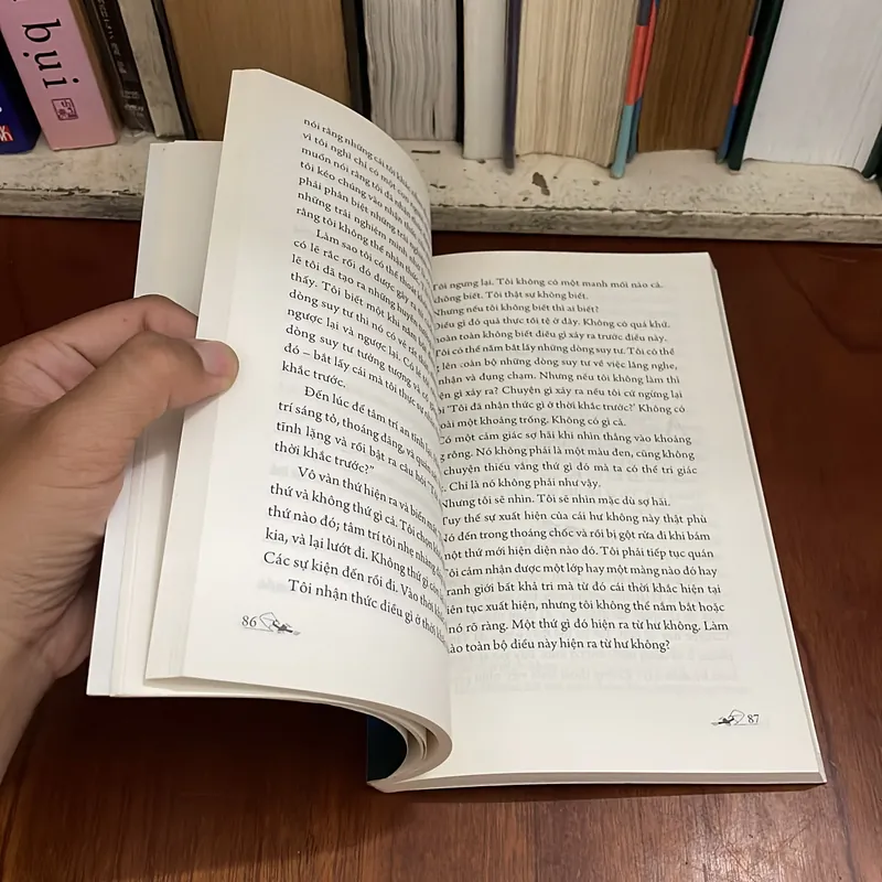 II Sách Phật Giáo: Thiền Và Thuật Nhận Thức - SUSAN BLACKMORE - 2015 573437