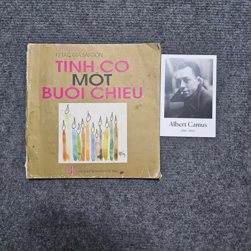 Tình cờ một buổi chiều - 12 truyện 12 tác giả sài gòn 1030660